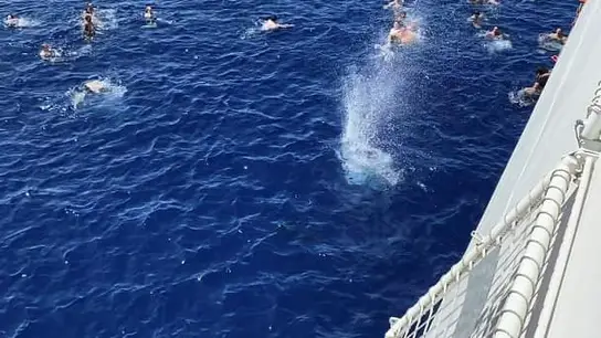 Desde el barco dispararon al tiburón que estaba a tan solo unos metros de los bañistas Desde el barco dispararon al tiburón que estaba a tan solo unos metros de los bañistas