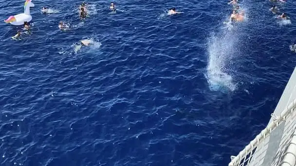 Desde el barco dispararon al tiburón que estaba a tan solo unos metros de los bañistas