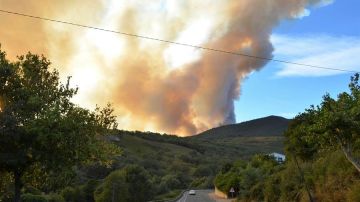 Medios aéreos y terrestres trabajan en la extinción de un incendio forestal declarado en el Valle del Jerte (Cáceres)