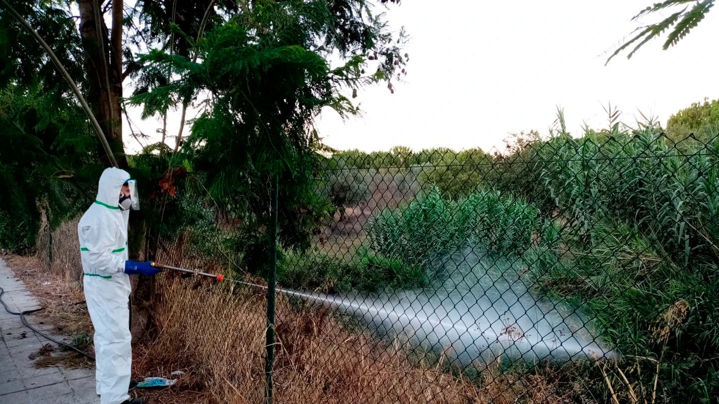 Un operario fumiga un terreno en Palomares del Río Un operario fumiga un terreno en Palomares del Río