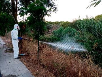 Un operario fumiga un terreno en Palomares del Río
