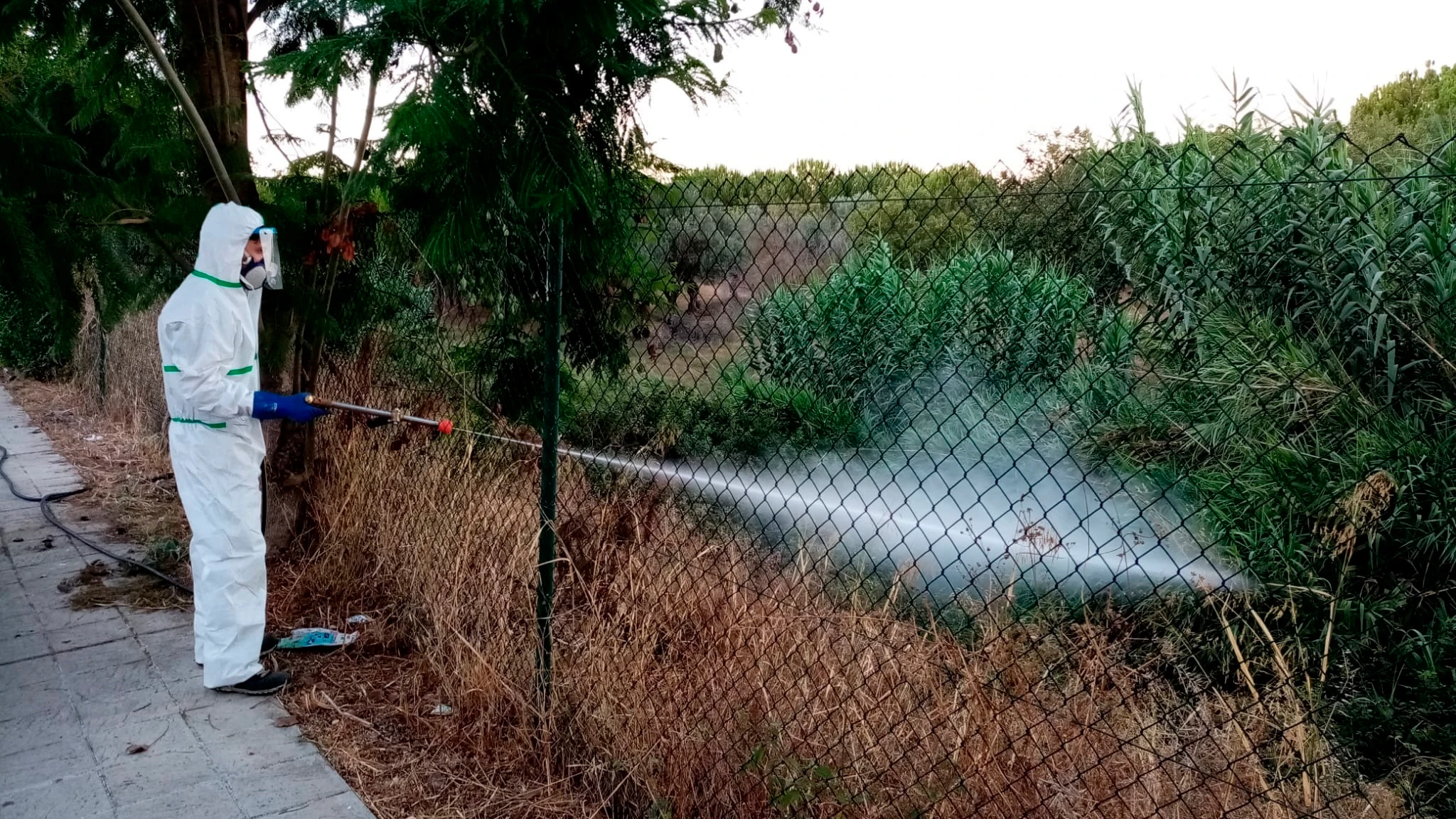 Un operario fumiga un terreno en Palomares del Río