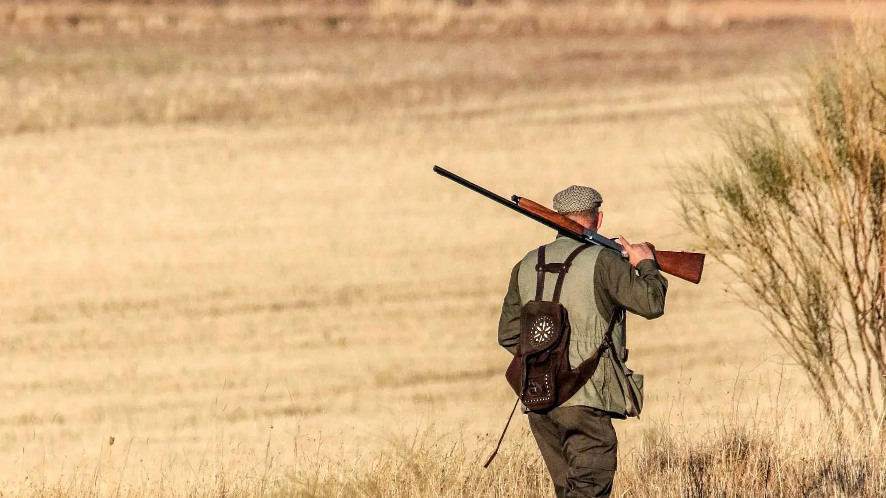 Un cazador en un coto 