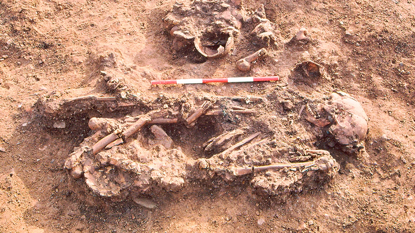 Entierro de una mujer de Windmill Fields, Stockton-upon-Tees, acompañada de cráneos y huesos de extremidades de al menos 3 personas que habían muerto 100 años antes Cuando la humanidad guardaba cadáveres en casa: el hallazgo de la Universidad de Bristol sobre el uso de restos mortales