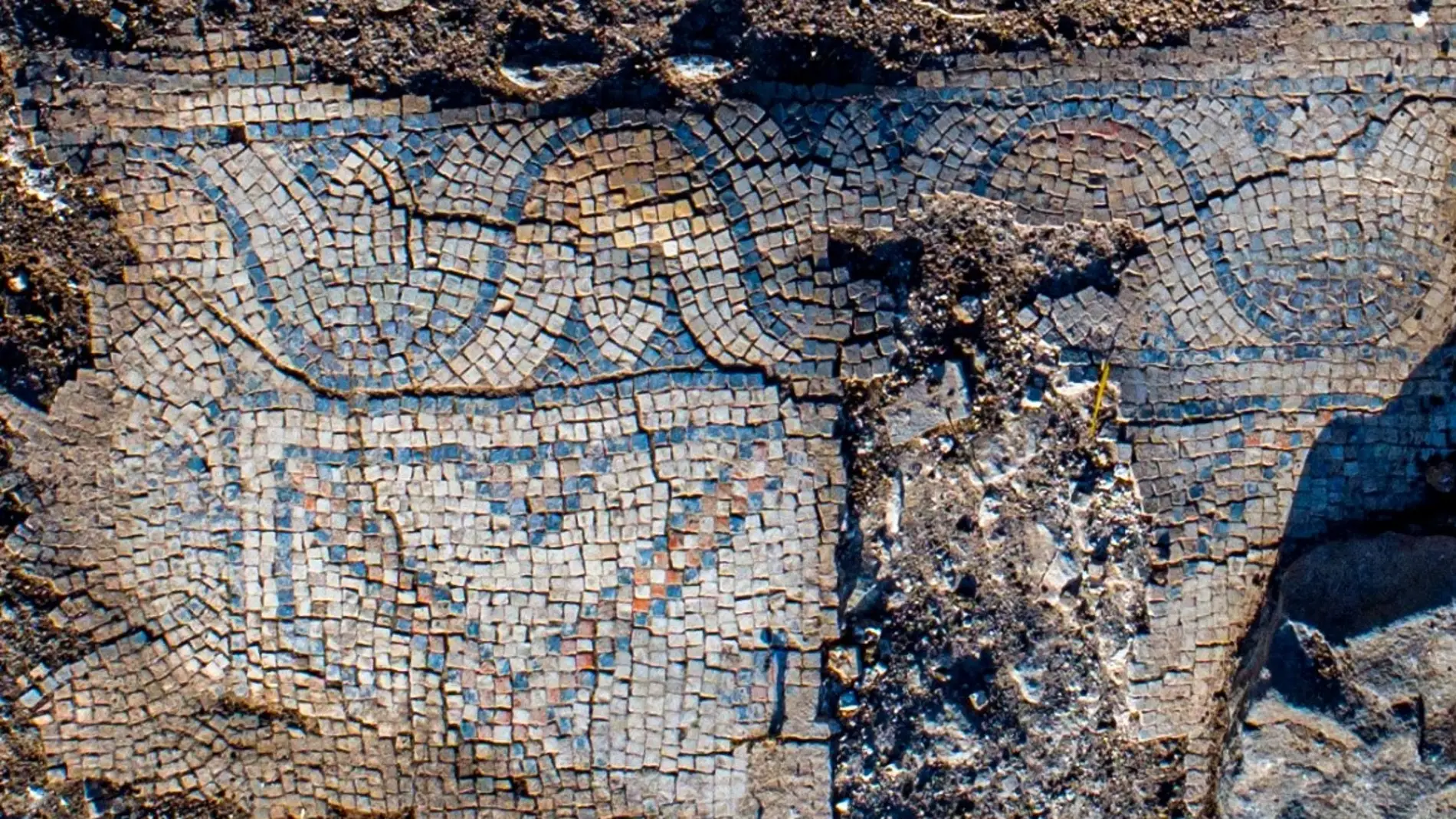Detalle de uno de los mosaicos descubiertos