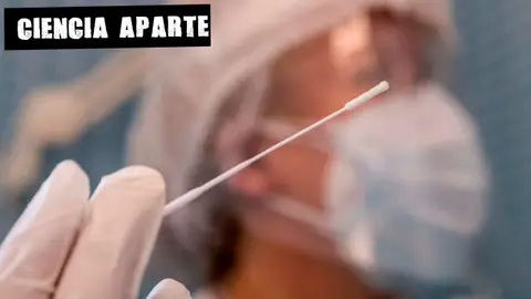 Prueba PCR Prueba PCR