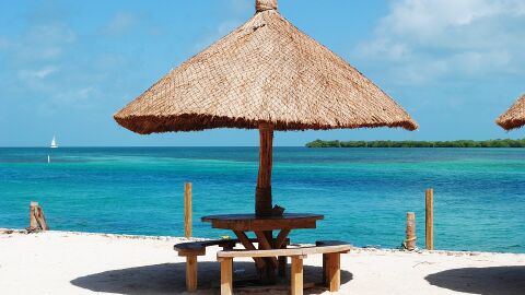 Belice