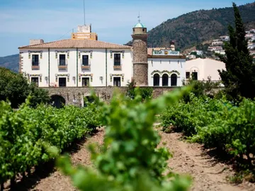 Bodega y viñedos Bodega y viñedos