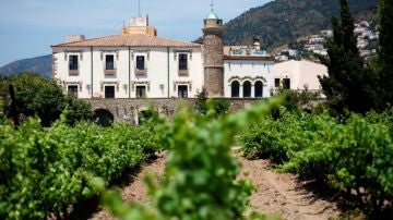 Bodega y viñedos