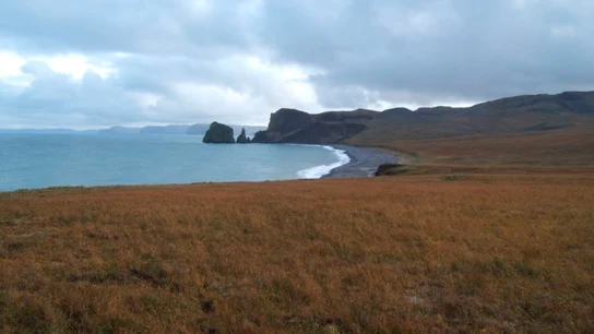 El mar de Bering sufre el mayor deshielo de los últimos 5.500 años El mar de Bering sufre el mayor deshielo de los últimos 5.500 años