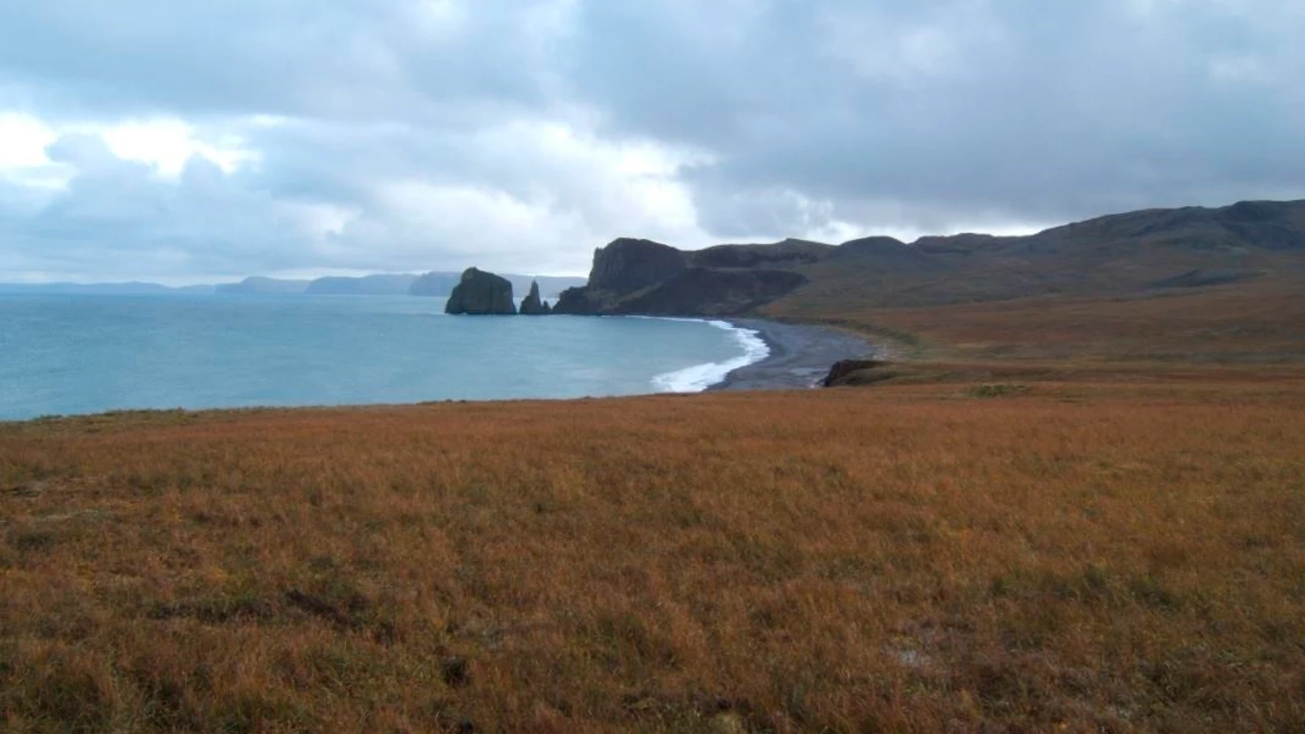 El mar de Bering sufre el mayor deshielo de los últimos 5.500 años El mar de Bering sufre el mayor deshielo de los últimos 5.500 años