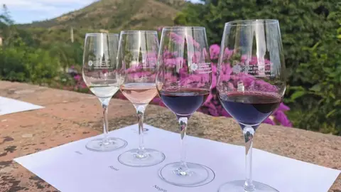 Cata de vinos Cata de vinos