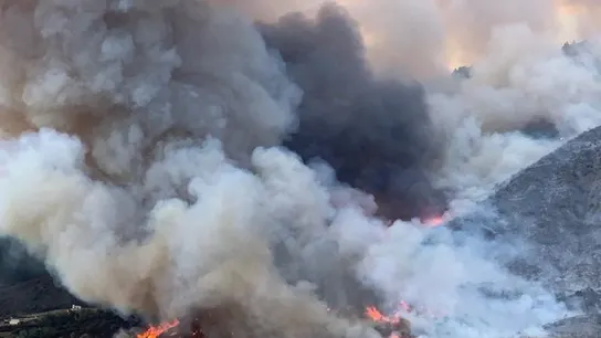 Una fiesta para revelar el sexo de un bebé provoca un incendio en California Una fiesta para revelar el sexo de un bebé provoca un incendio en California