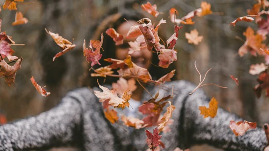 ¿Por qué el 22 de septiembre es el equinoccio de otoño? ¿Por qué el 22 de septiembre es el equinoccio de otoño?