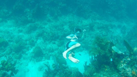 Buceo en Útila