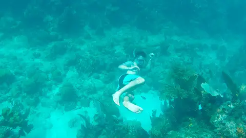 Buceo en Útila Buceo en Útila