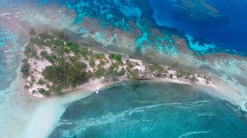 Utila