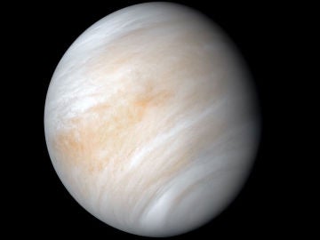 Un compuesto encontrado en Venus podría proceder de organismos vivos. 