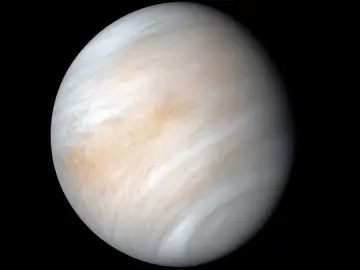 Venus Venus