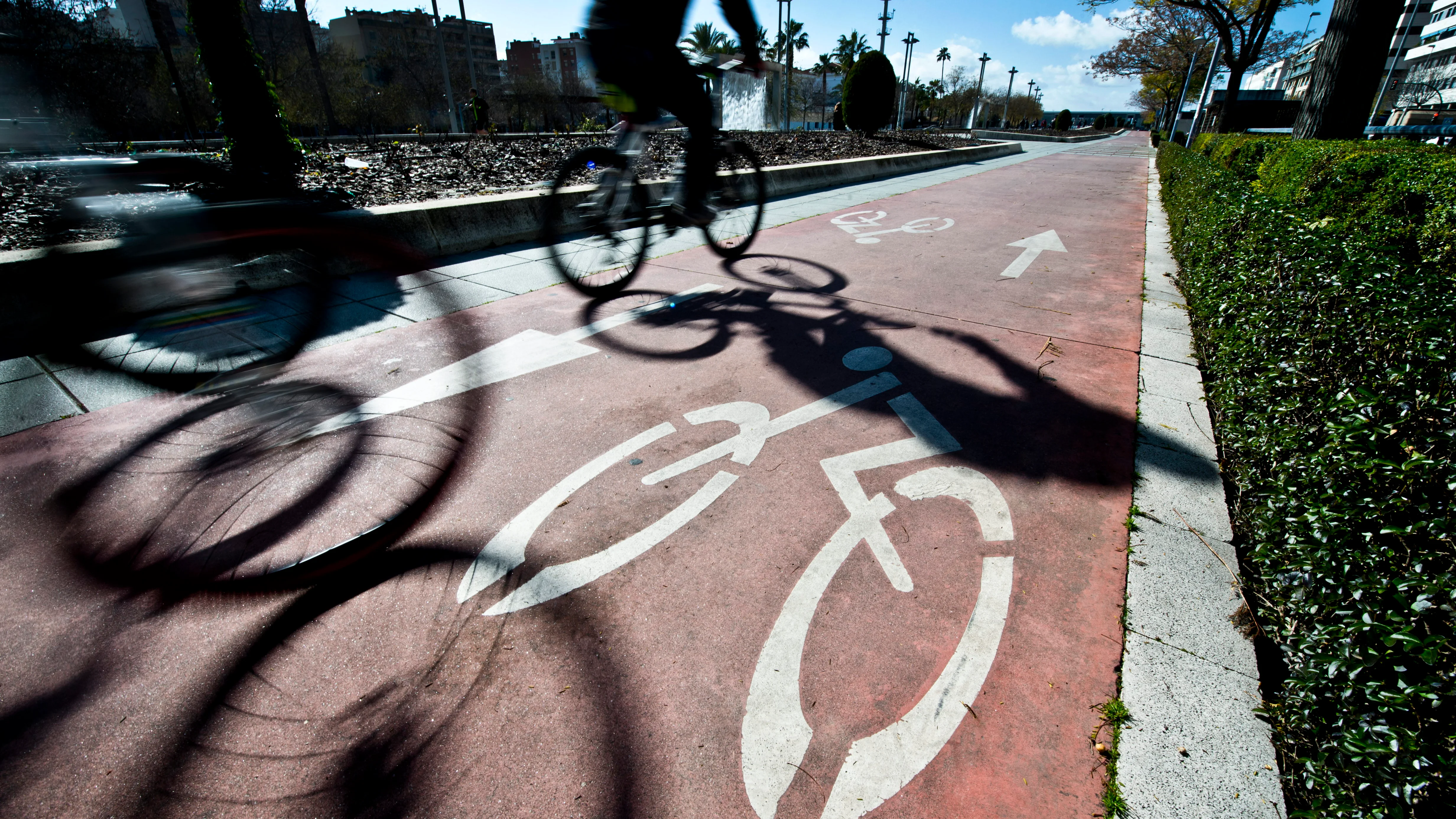 Varias bicicletas circulan por un carril especial para ellas