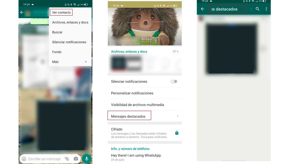 Mensajes destacado de un contacto
