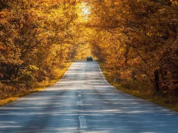 Llega el otoño Llega el otoño