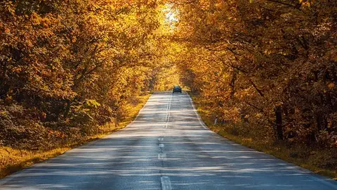 Llega el otoño Llega el otoño