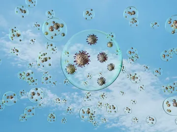 Coronavirus. Coronavirus.