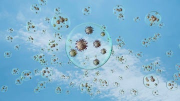 Coronavirus.