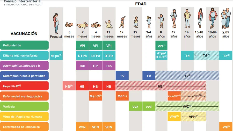 Imagen del calendario de vacunación de 2020