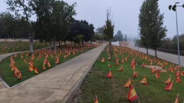 Imagen de las banderas colocadas junto al Guadalquivir en homenaje por las víctimas de coronavirus