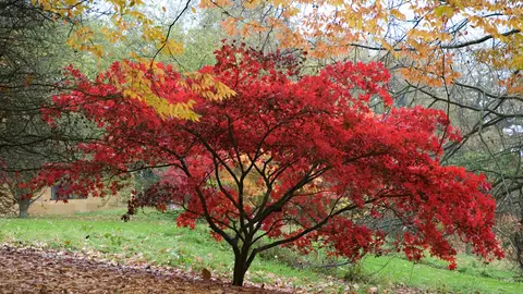 Bastford Arboretum Bastford Arboretum
