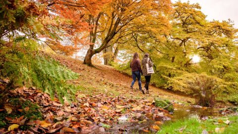 Royal Botanic Kew