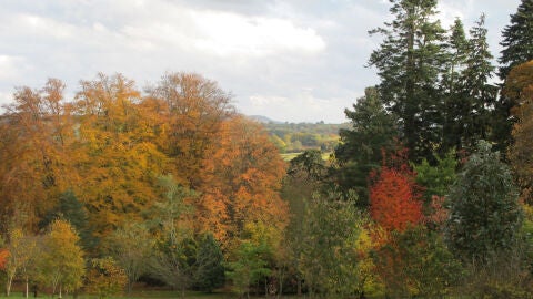 Hergest Croft Gardens