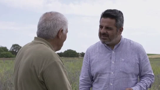 Fin del misterio de la leyenda del Guadiana: esta es la razón por la que el río aparece y desaparece Fin del misterio de la leyenda del Guadiana: esta es la razón por la que el río aparece y desaparece
