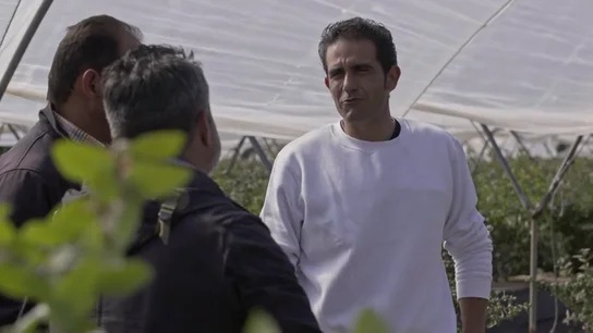 La reacción de los agricultores cuando se les pregunta sobre los pozos que secan el acuífero de Doñana La reacción de los agricultores cuando se les pregunta sobre los pozos que secan el acuífero de Doñana