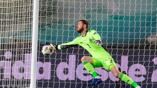 David de Gea David de Gea