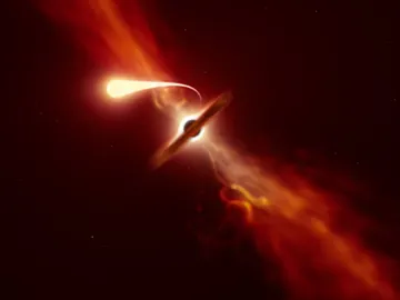 Captan los últimos momentos de una estrella devorada por un agujero negro Captan los últimos momentos de una estrella devorada por un agujero negro