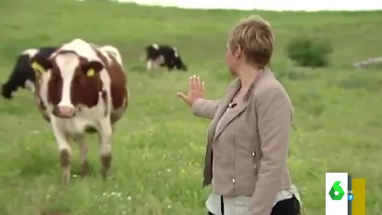 La demostración de Gloria Serra a la ciencia: así consiguió 'comunicarse' con una vaca con la mirada La demostración de Gloria Serra a la ciencia: así consiguió 'comunicarse' con una vaca con la mirada