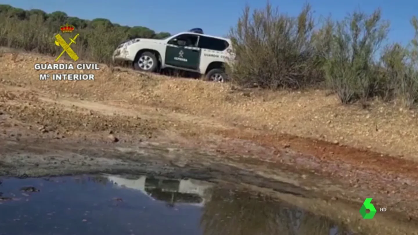 Investigan a siete personas por actividades ilegales contra la flora y la fauna protegidas de Doñana Investigan a siete personas por actividades ilegales contra la flora y la fauna protegidas de Doñana