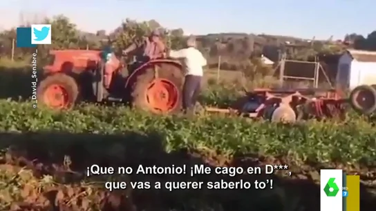 La divertida discusión viral de dos agricultores a gritos sobre por dónde va un tractor: "¡Vas a querer saberlo to!" La divertida discusión viral de dos agricultores a gritos sobre por dónde va un tractor: "¡Vas a querer saberlo to!"