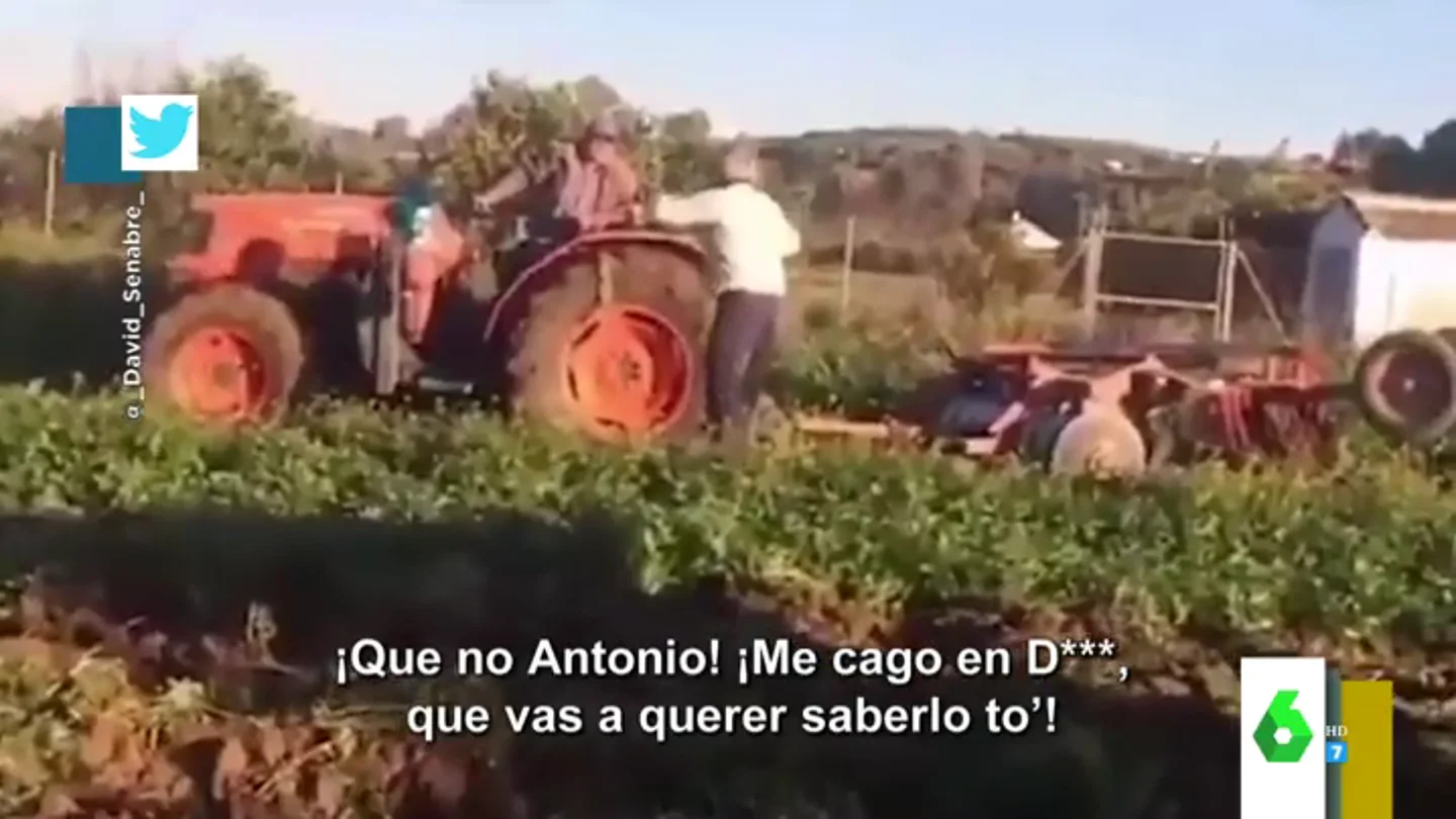 La divertida discusión viral de dos agricultores a gritos sobre por dónde va un tractor: "¡Vas a querer saberlo to!" La divertida discusión viral de dos agricultores a gritos sobre por dónde va un tractor: "¡Vas a querer saberlo to!"