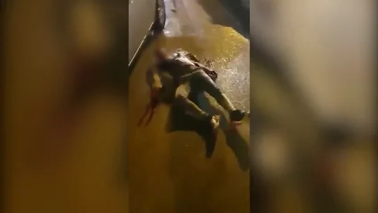 Graban el brutal asesinato a puñaladas de un joven en plena calle de Usera, Madrid Graban el brutal asesinato a puñaladas de un joven en plena calle de Usera, Madrid