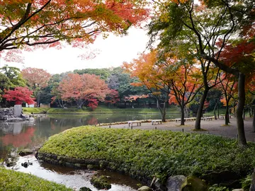 Koishikawa Korakuen Koishikawa Korakuen
