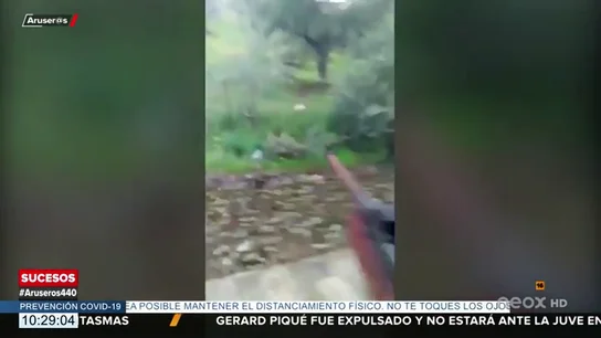 Detenido tras publicar en redes sociales un vídeo en el que se ve cómo dispara a un gato que muere agonizando Detenido tras publicar en redes sociales un vídeo en el que se ve cómo dispara a un gato que muere agonizando