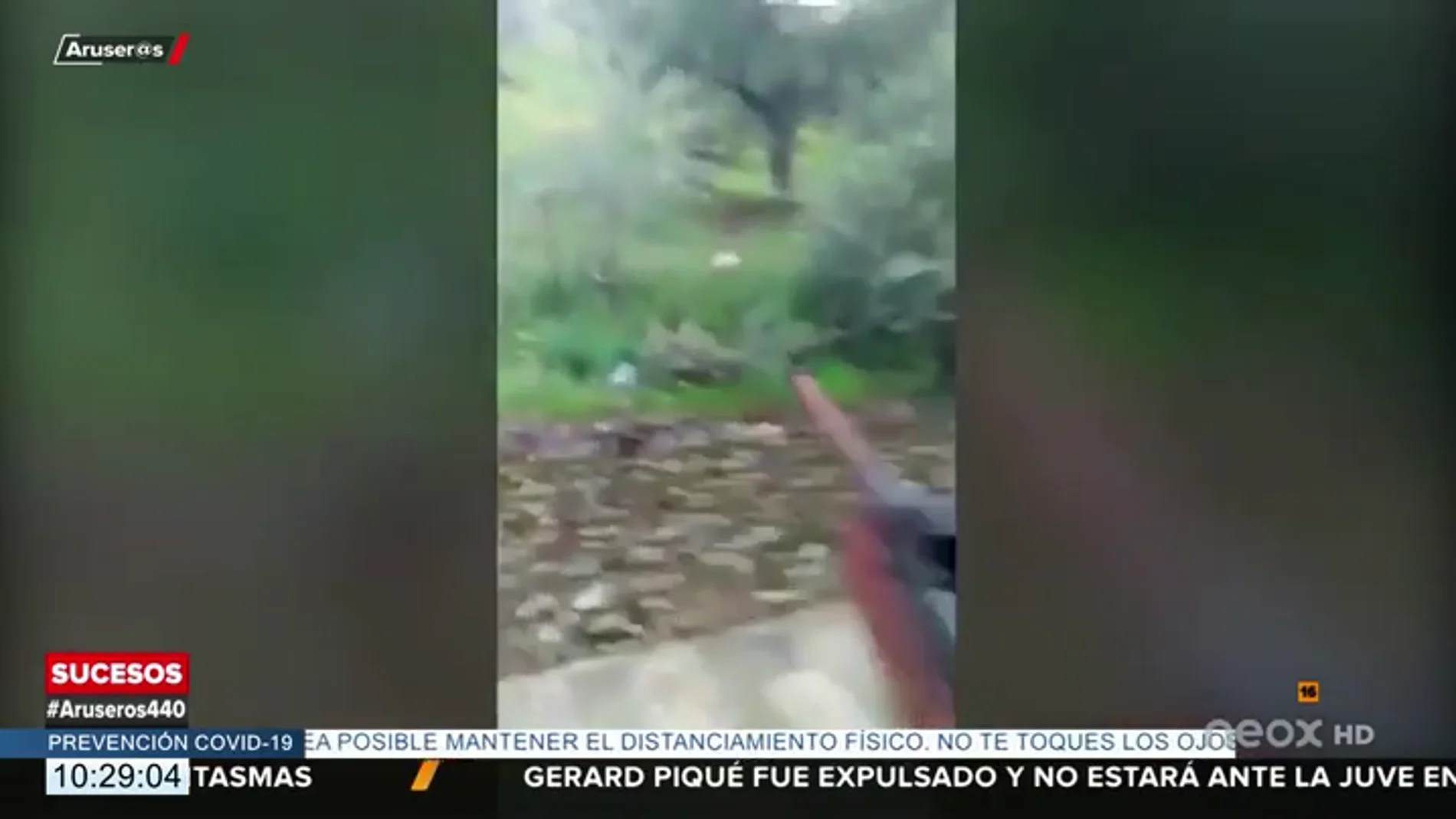 Detenido tras publicar en redes sociales un vídeo en el que se ve cómo dispara a un gato que muere agonizando 
