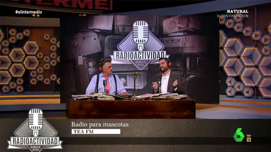 "¿Tu gato está mohíno?": 'Radio para mascotas', la emisora en la que los oyentes "no tienen por qué ser necesariamente humanos" "¿Tu gato está mohíno?": 'Radio para mascotas', la emisora en la que los oyentes "no tienen por qué ser necesariamente humanos"