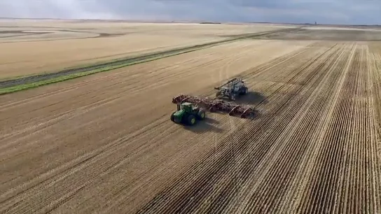 Así es Simpson Seeeds, la empresa canadiense que cultiva lentejas e importa 9.000 toneladas a España Así es Simpson Seeeds, la empresa canadiense que cultiva lentejas e importa 9.000 toneladas a España