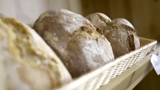 La harina Aragón 03, el secreto para recuperar el sabor del auténtico pan de antaño La harina Aragón 03, el secreto para recuperar el sabor del auténtico pan de antaño