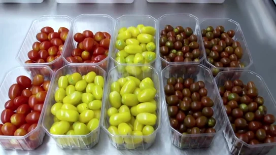 ¿De dónde salen los tomates cherry pera?: visitamos el laboratorio que crea las semillas de estas variedades ¿De dónde salen los tomates cherry pera?: visitamos el laboratorio que crea las semillas de estas variedades